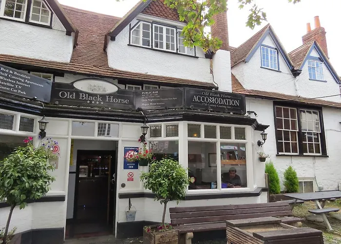 The Old Black Horse Inn